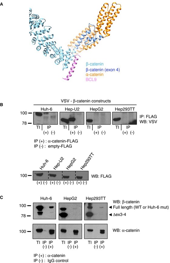 Figure EV3