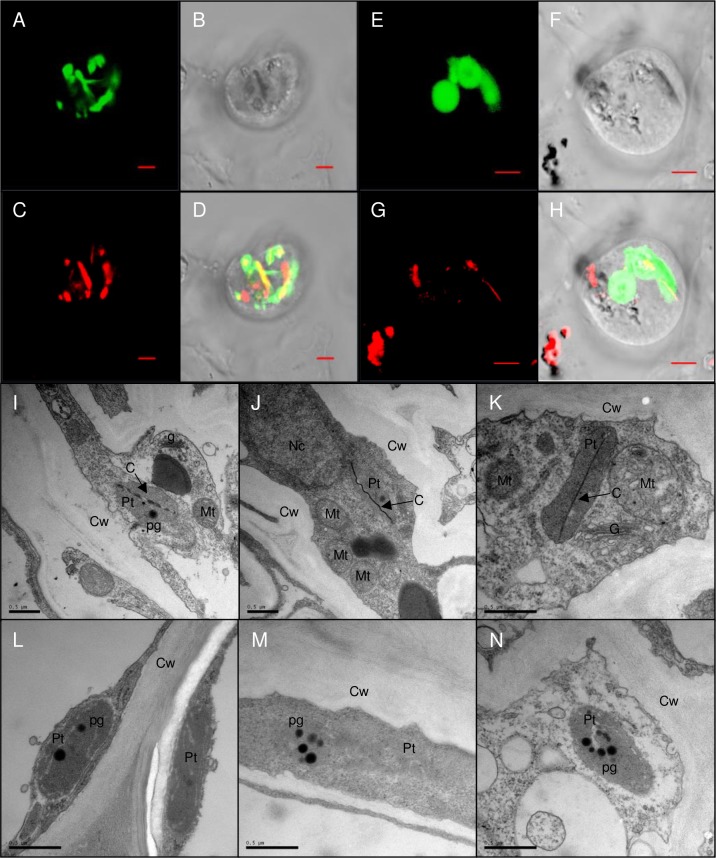 Fig 9