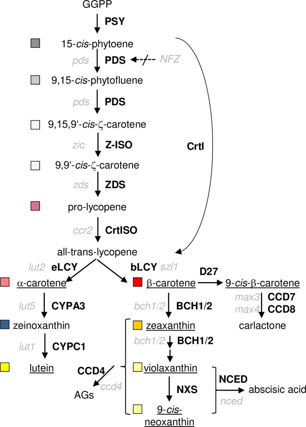 Fig 1