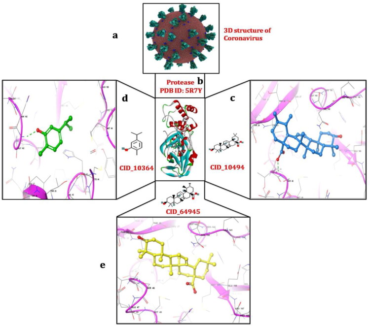 Figure 2.