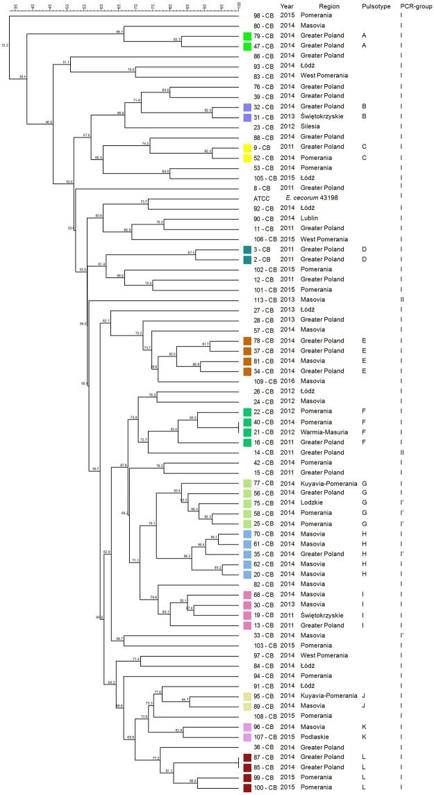 Fig 2