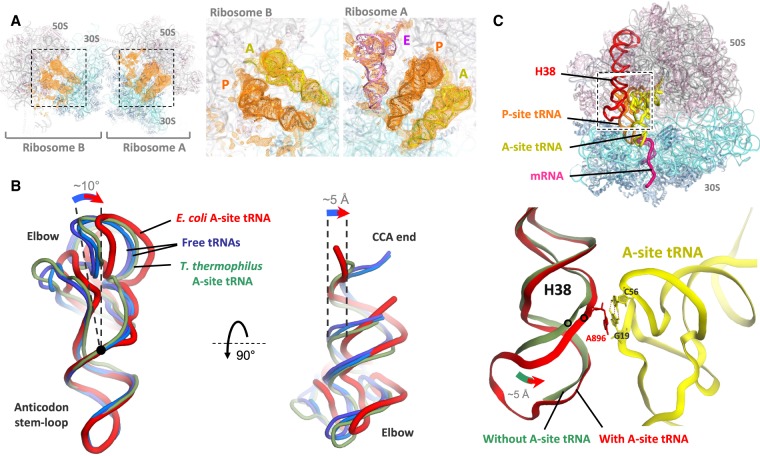 FIGURE 5.