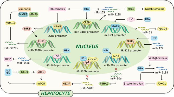 Figure 4