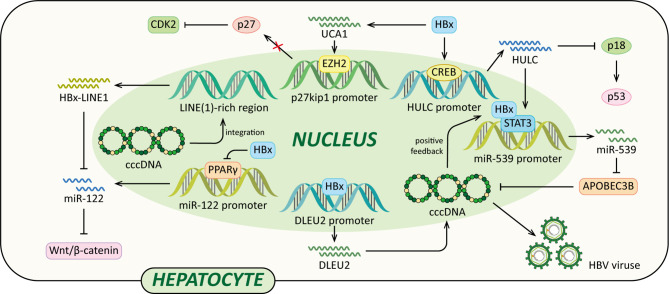 Figure 5