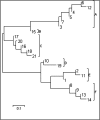 FIG. 1.