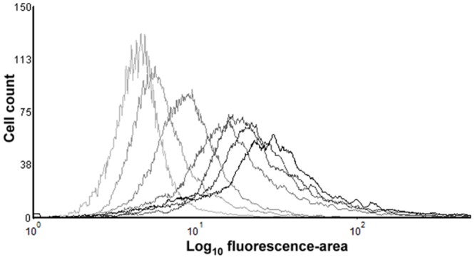 FIGURE 7