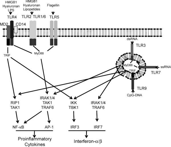 FIG. 1