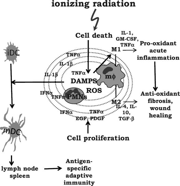 FIG. 3