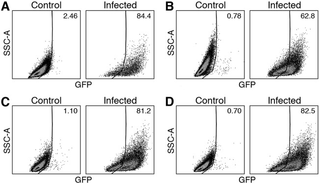 FIG 2