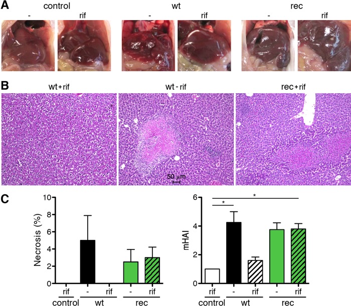 FIG 6