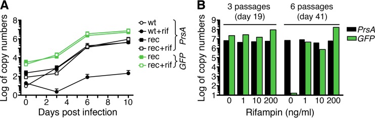 FIG 3