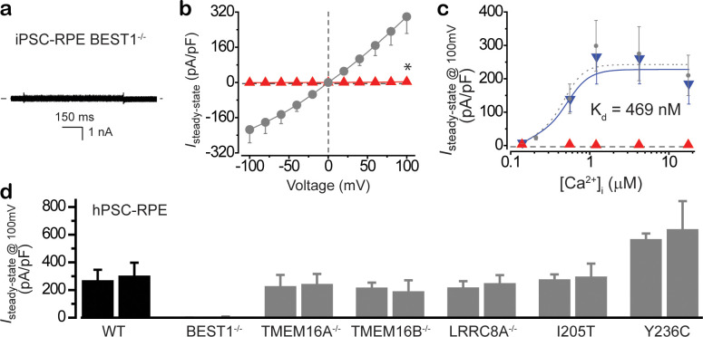 Figure 3—figure supplement 3.