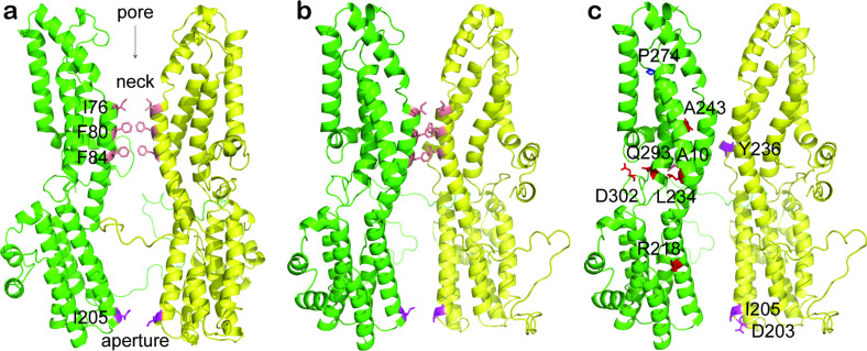 Figure 1—figure supplement 2.