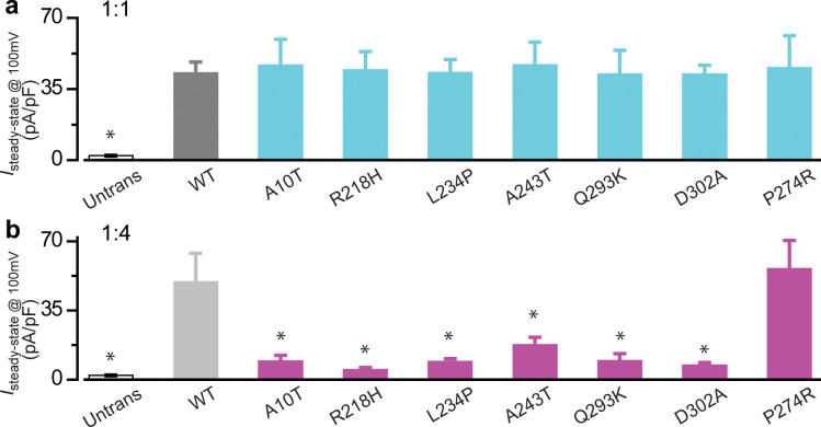 Figure 1—figure supplement 1.