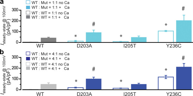 Figure 2—figure supplement 1.