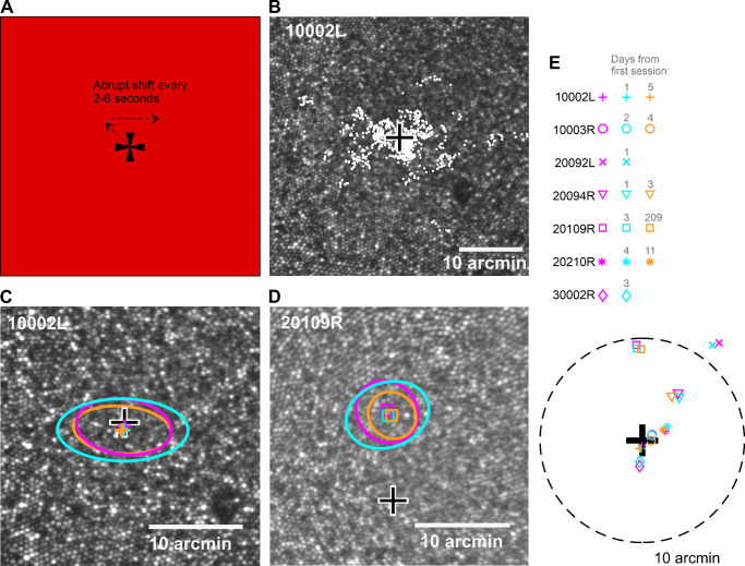 Figure 2.