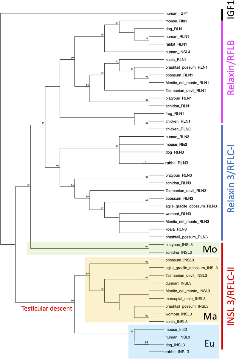 FIGURE 3