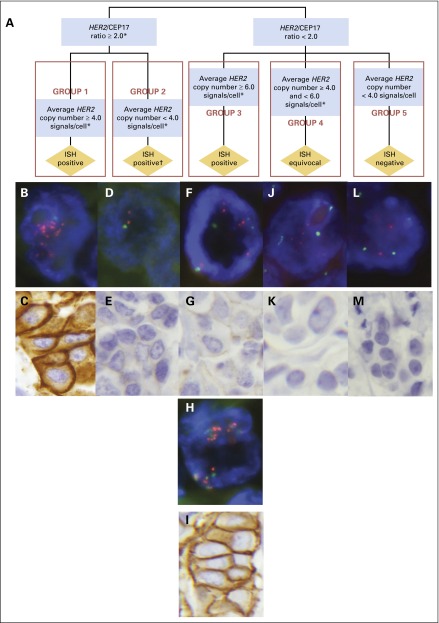 Fig 2.