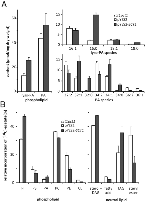 FIGURE 3: