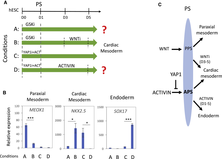 Figure 3