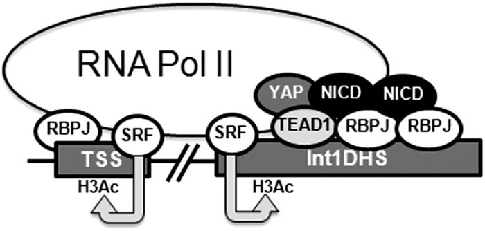 Fig. 7.