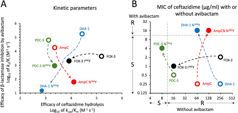 FIG 1