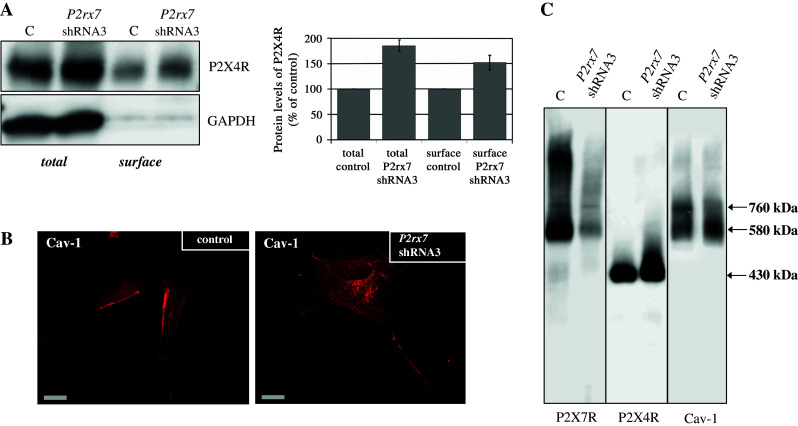 Fig. 4