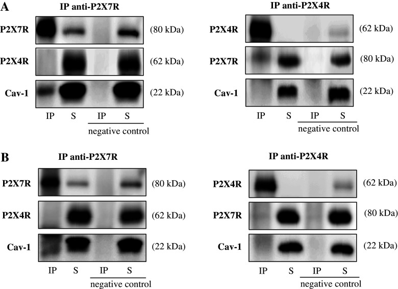 Fig. 2