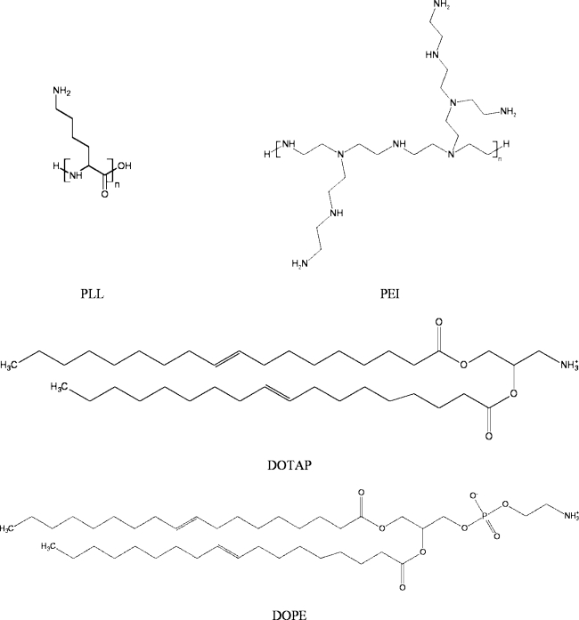 Fig. 1