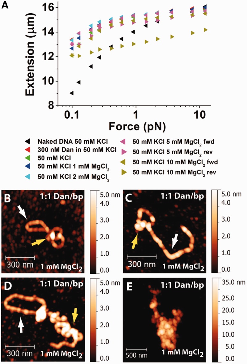 Figure 4.