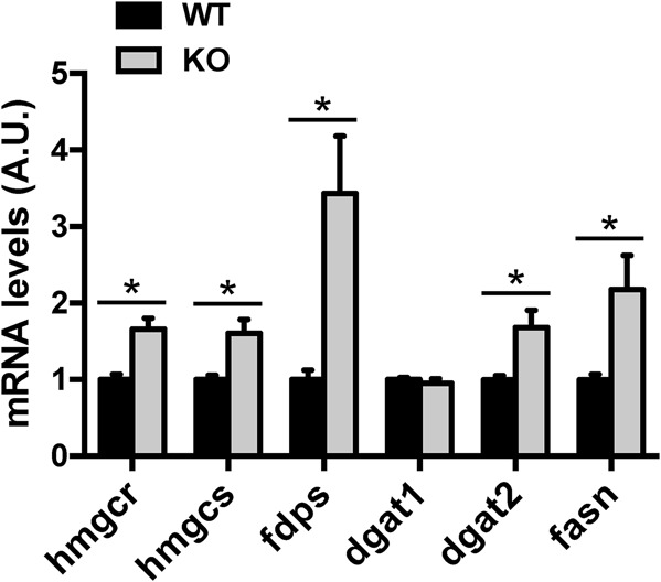 Fig. 8.