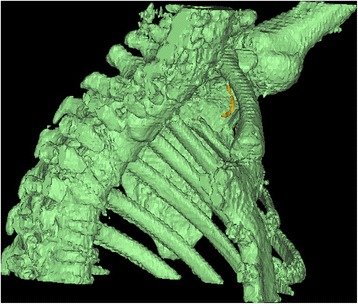 Fig. 8