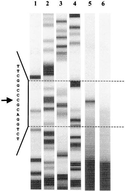 FIG. 7