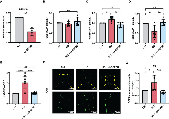 Figure 4
