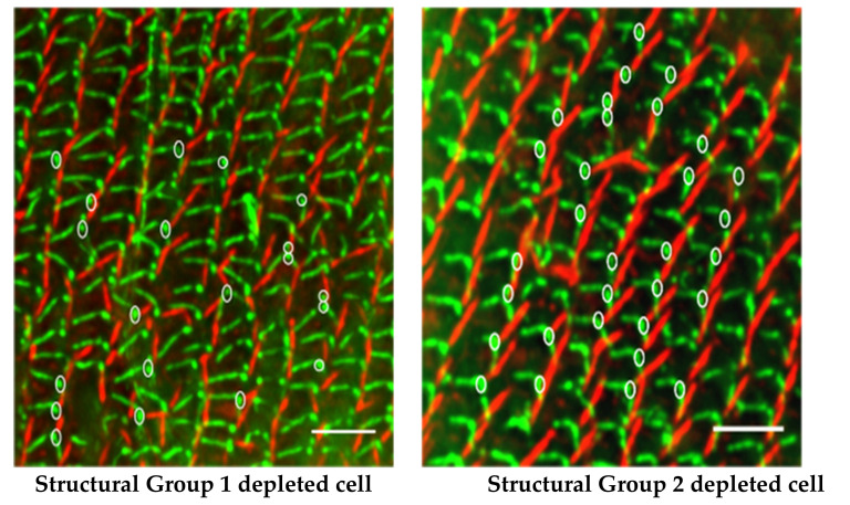 Figure 17