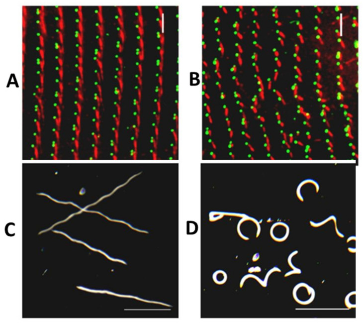 Figure 15