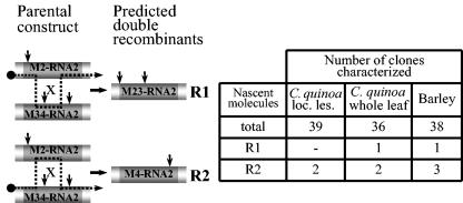 FIG. 5.