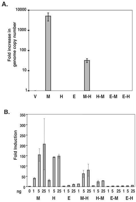 FIG. 5.