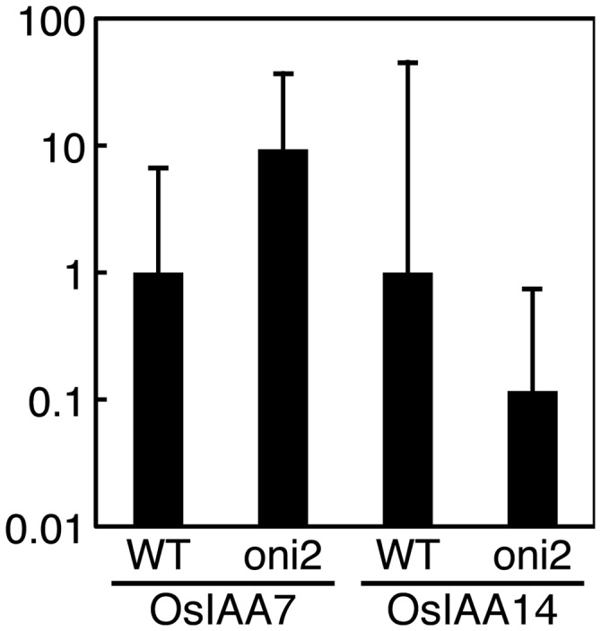 Fig. 8