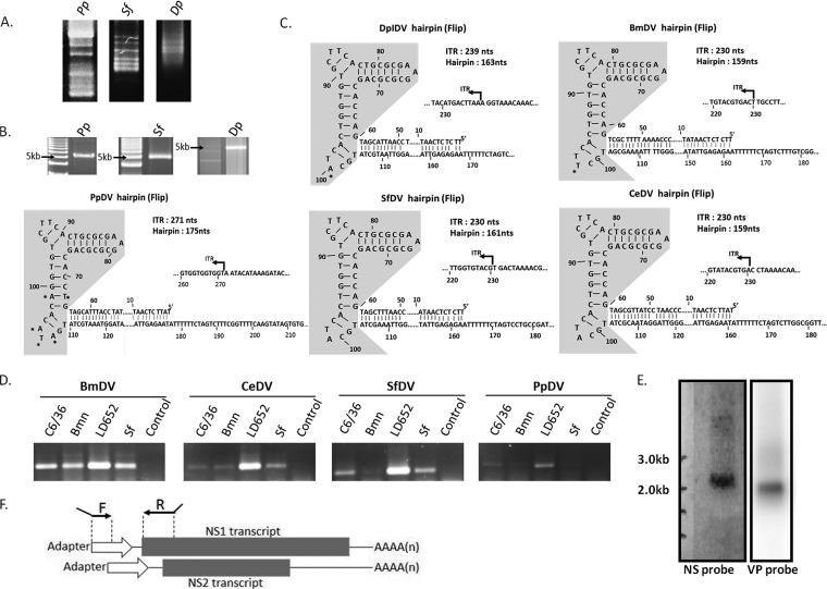 FIG 1