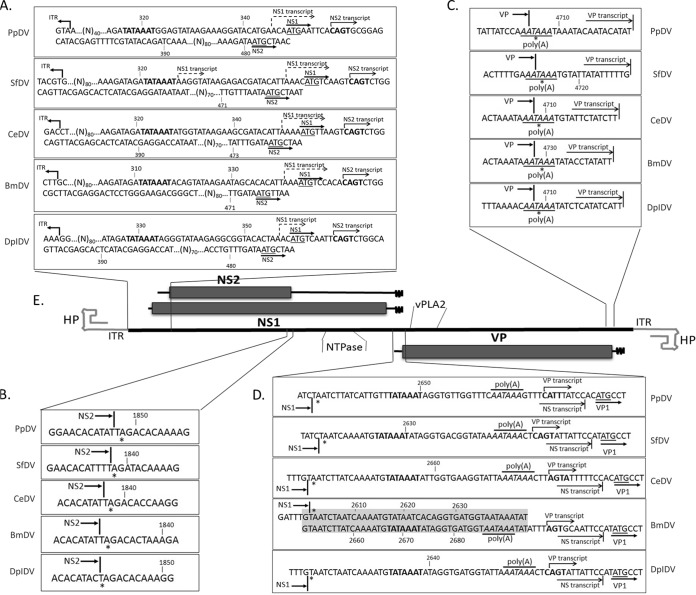 FIG 2