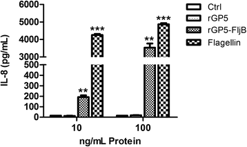 Fig. 5