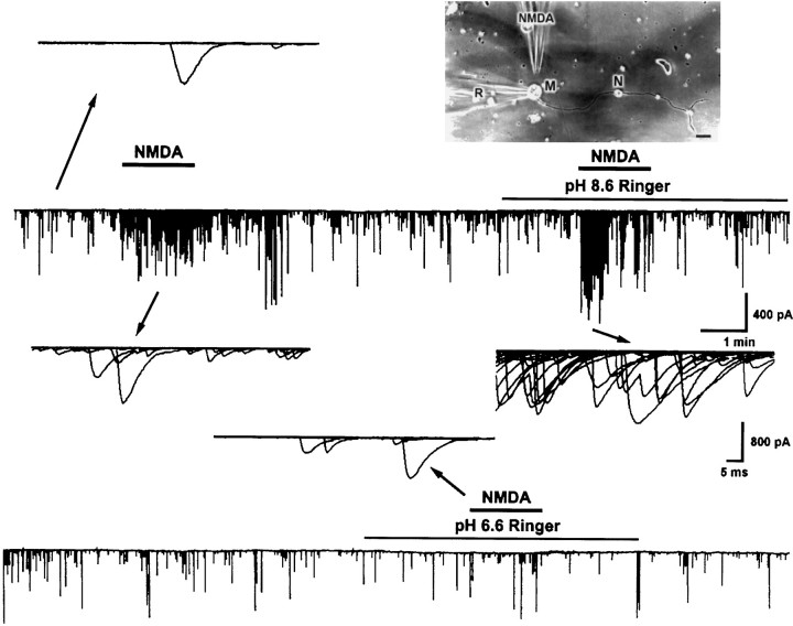 Fig. 1.