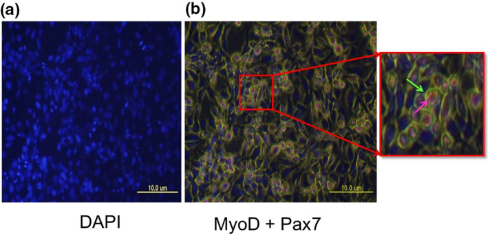 FIGURE 4