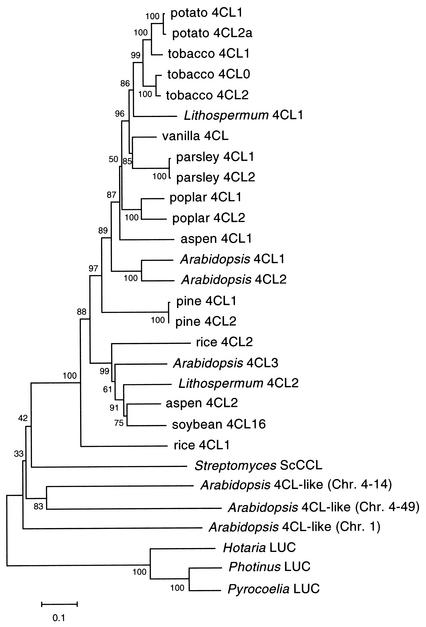 FIG. 5.