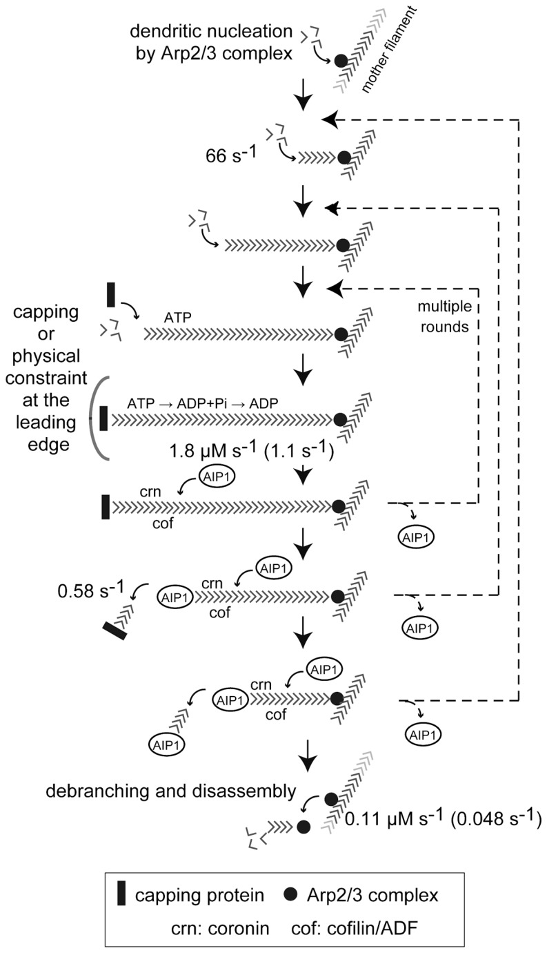 Fig. 5