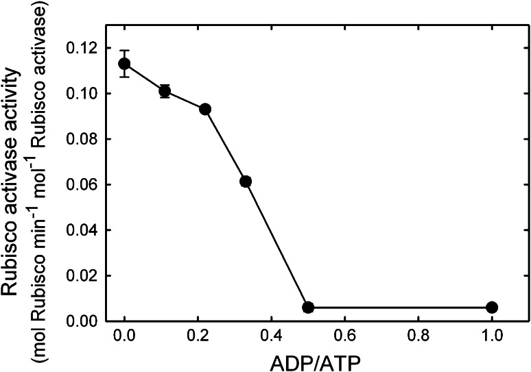 Fig. 4