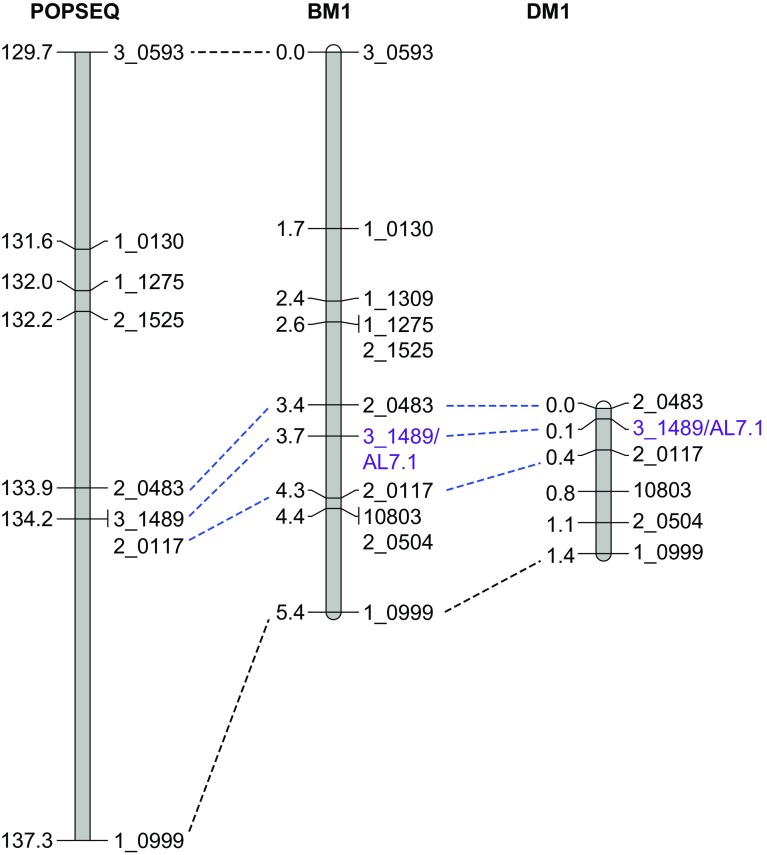 Fig. 4