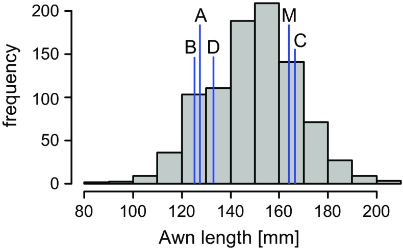 Fig. 1