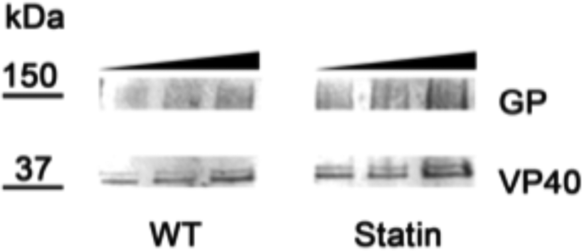 Extended Data Figure 7